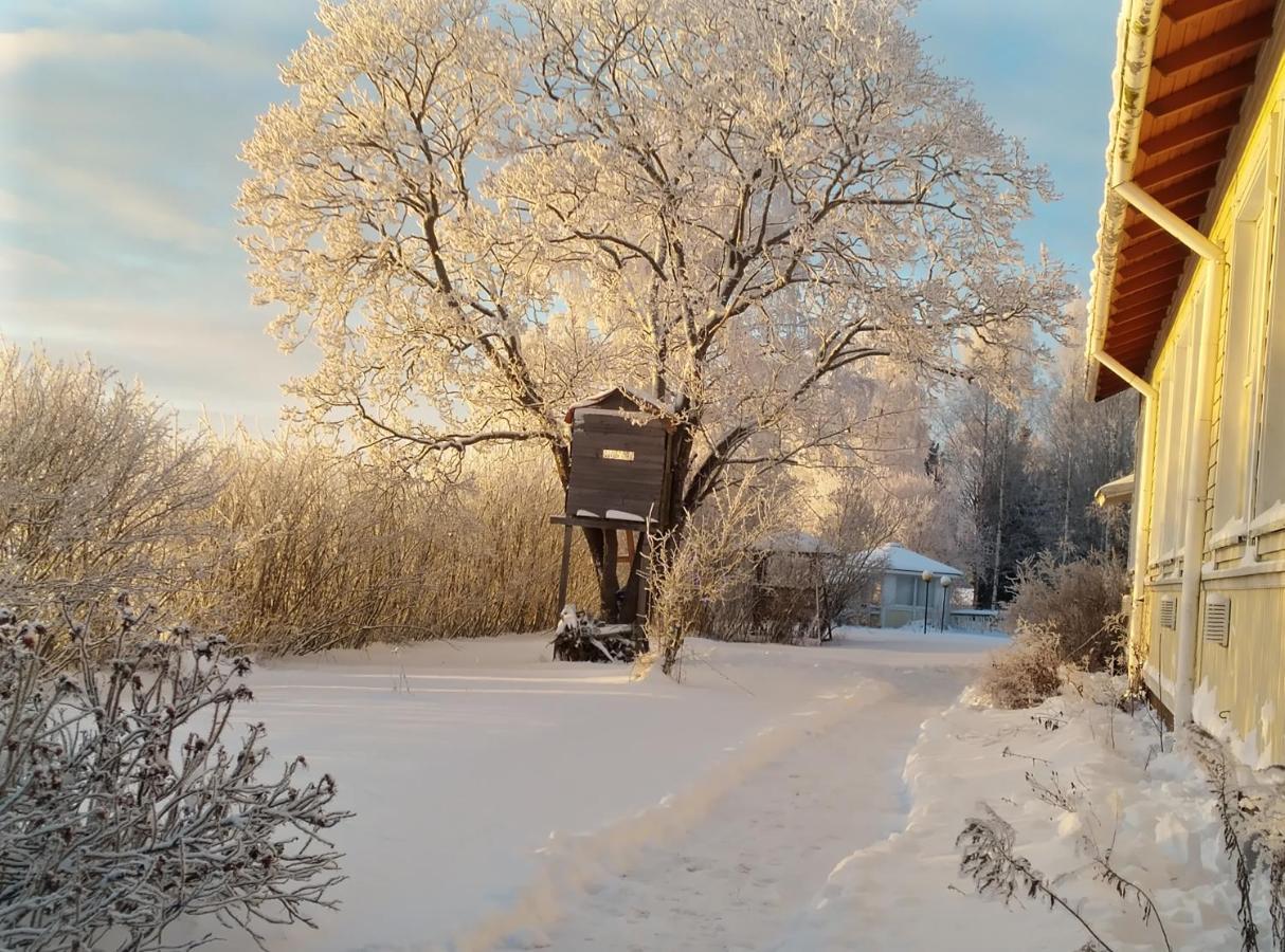 ホテル Majatalo Myoetaetuuli Pitkajarvi  エクステリア 写真