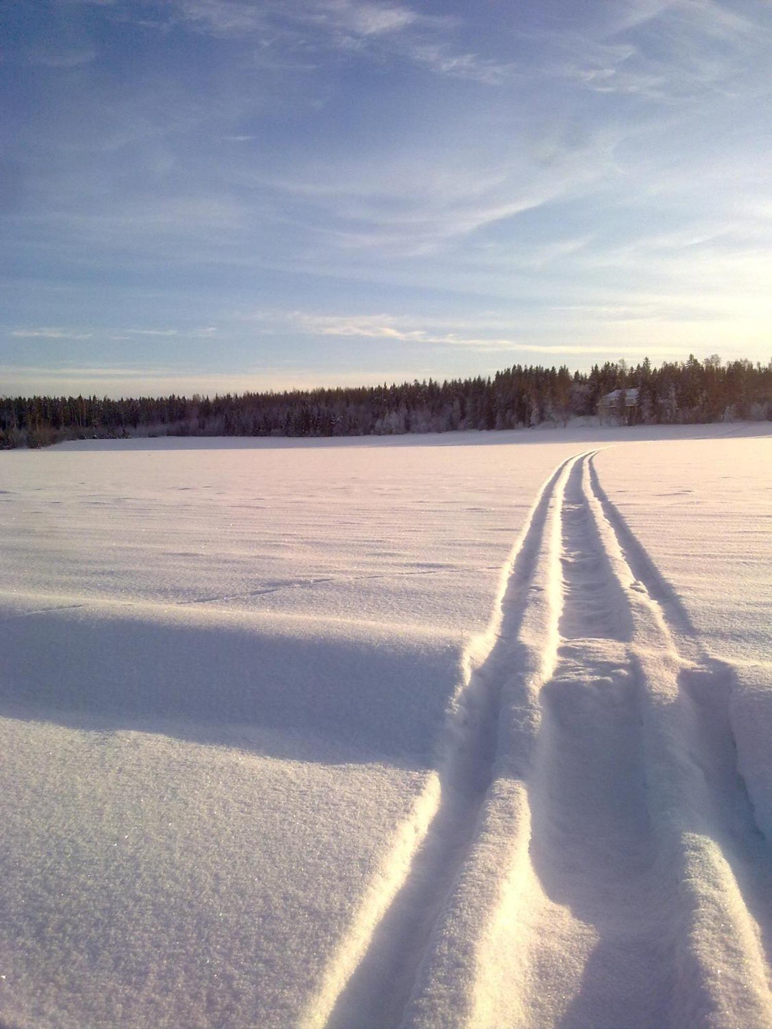 ホテル Majatalo Myoetaetuuli Pitkajarvi  エクステリア 写真